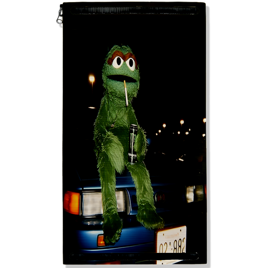 Oscar the Grouch on Car